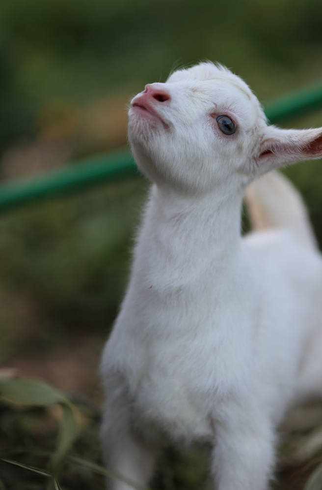 %e3%82%b9%e3%82%af%e3%83%aa%e3%83%bc%e3%83%b3%e3%82%b7%e3%83%a7%e3%83%83%e3%83%88-2016-11-06-18-35-18