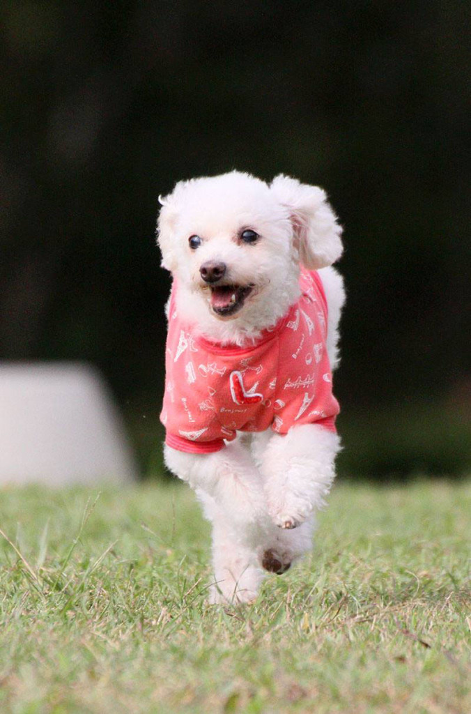 12489305_10205612736417227_8785805721983670174_o