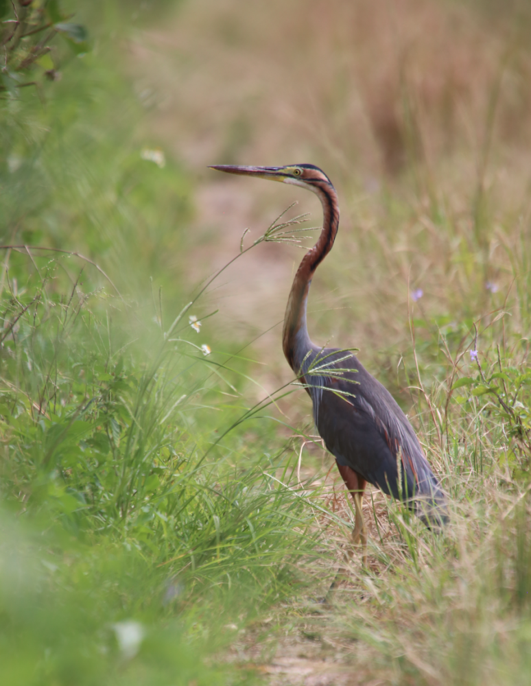 %e3%82%b9%e3%82%af%e3%83%aa%e3%83%bc%e3%83%b3%e3%82%b7%e3%83%a7%e3%83%83%e3%83%88-2016-11-11-15-27-07