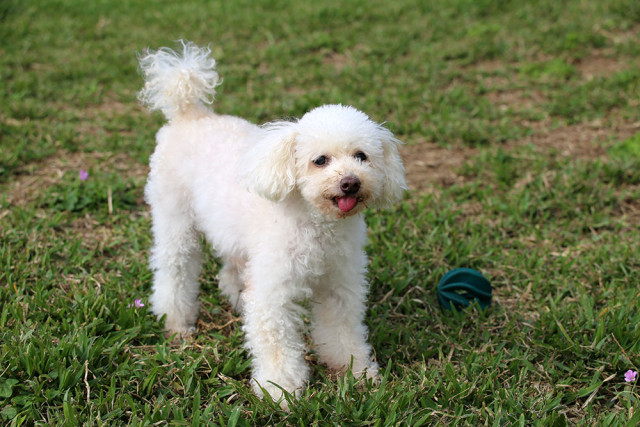 2016-03-17 15.56.24-2