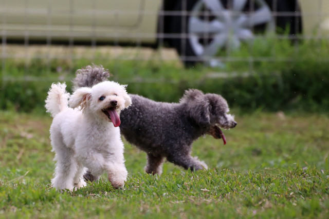 2016-03-17 16.01.00-1