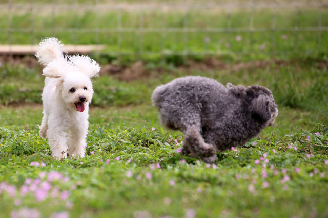 2016-03-17 16.06.16-2