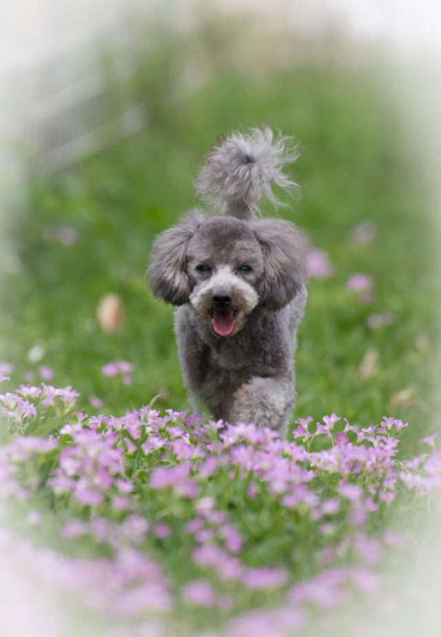 2016-03-20 13.55.32-3