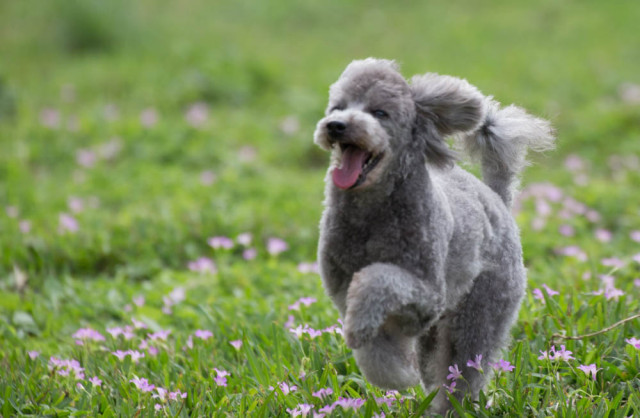 2016-03-20 14.01.18-2