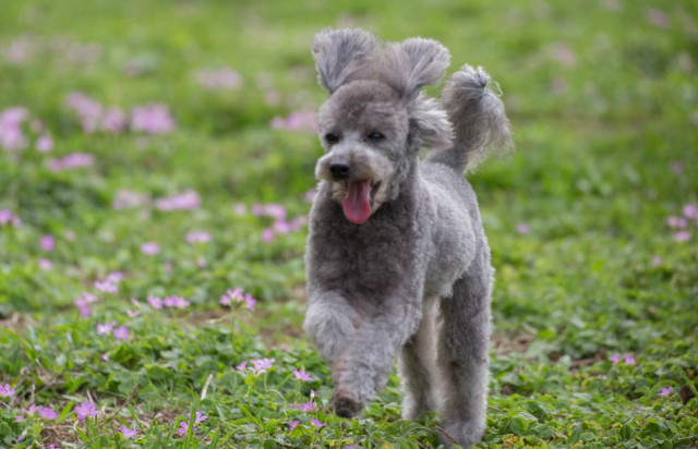 2016-03-20 14.01.19-1