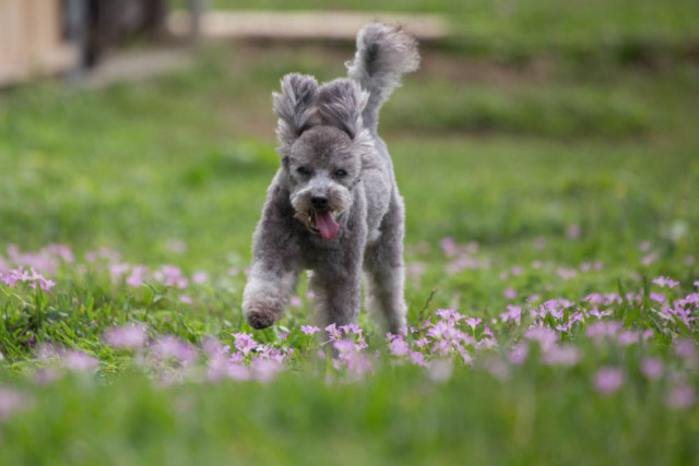 2016-03-20 14.03.17-1