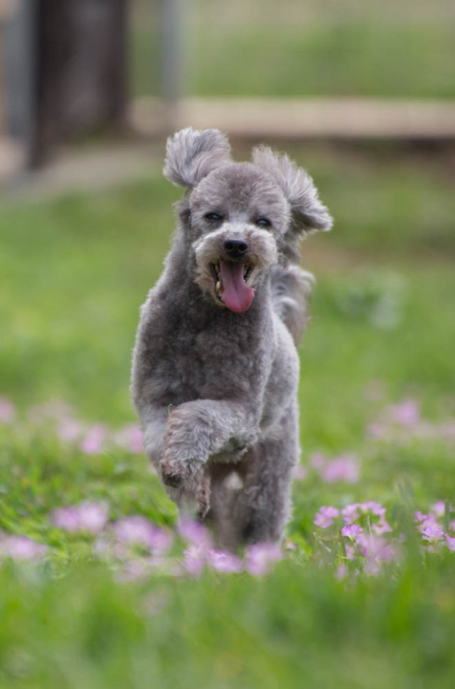 2016-03-20 14.03.17-2