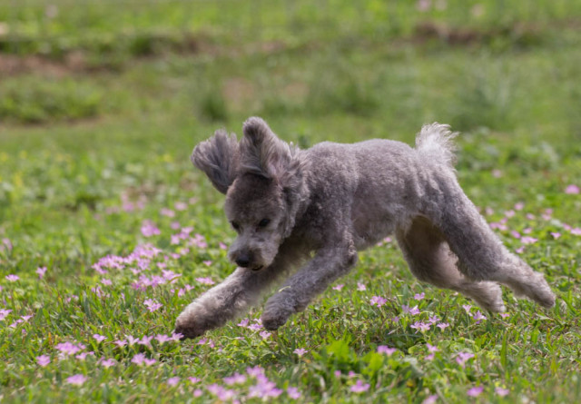 2016-03-20 14.12.02-2