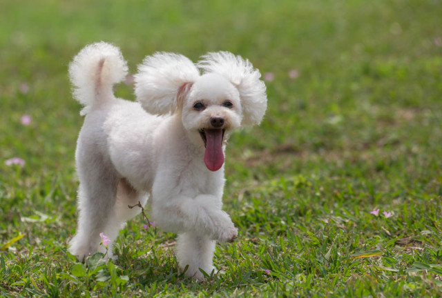 2016-03-20 14.12.08-2