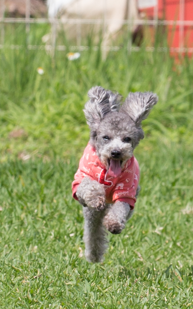 2016-03-27 14.57.17-1