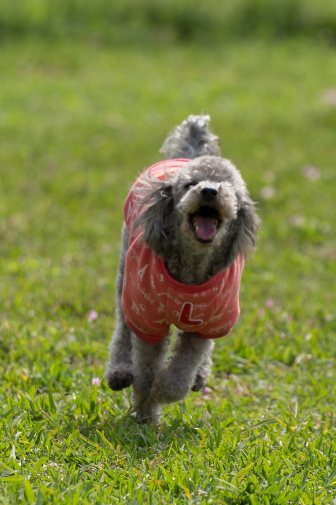 2016-03-27 15.03.23-3