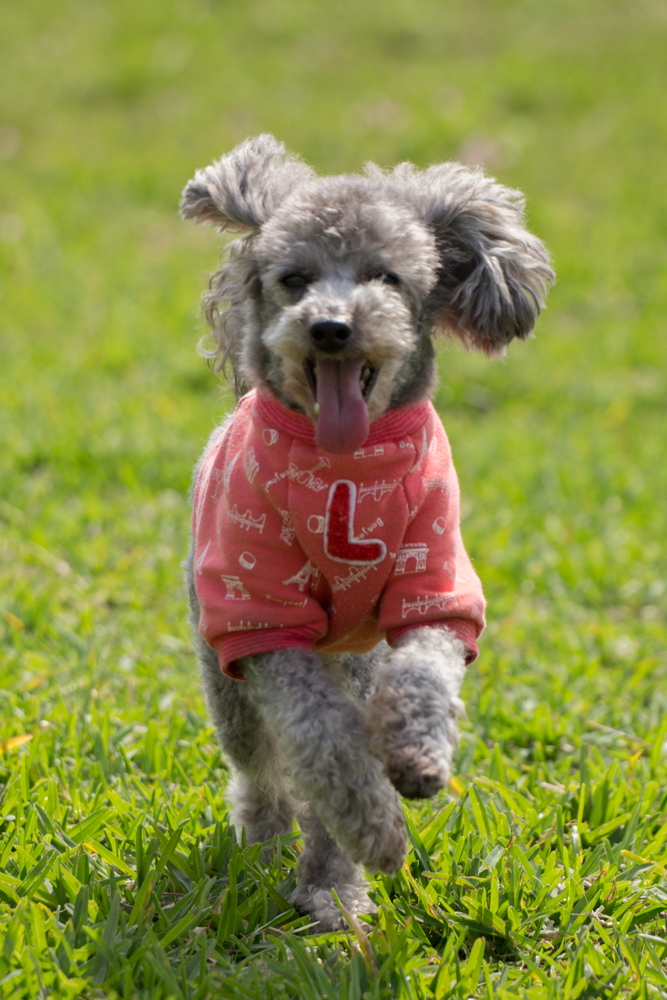 2016-03-27 15.03.24-4