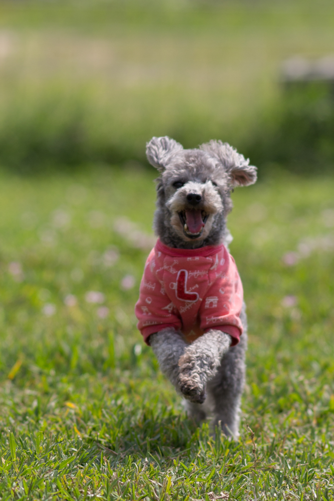 2016-03-29 14.33.16-1