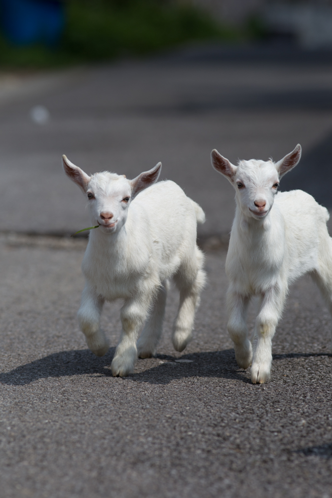 2016-03-29 14.41.14-2