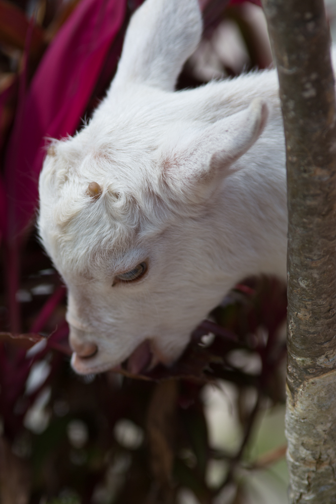 2016-03-29 14.42.39-2