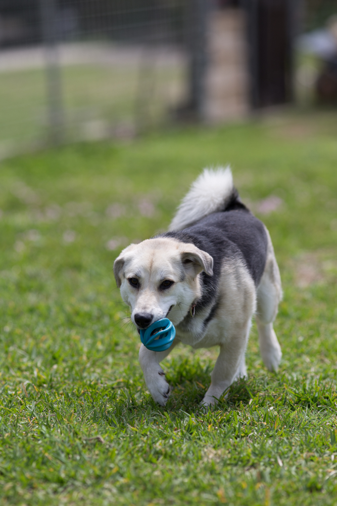 2016-04-01 13.51.25-1