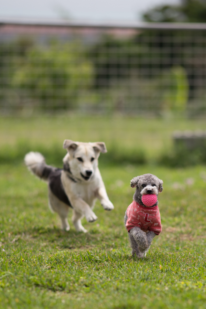 2016-04-01 13.56.37-3