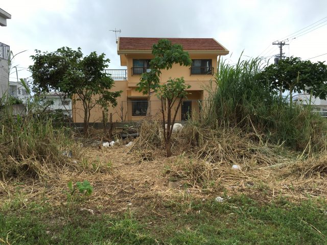 2016-05-09 13.01.19-1