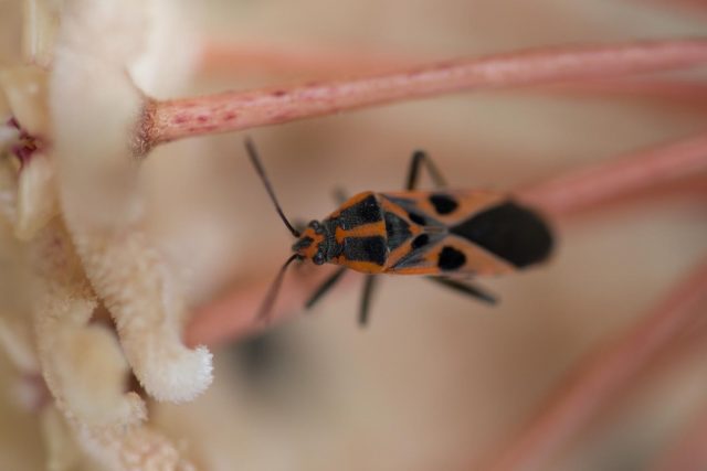 2016-05-20 10.46.07-1