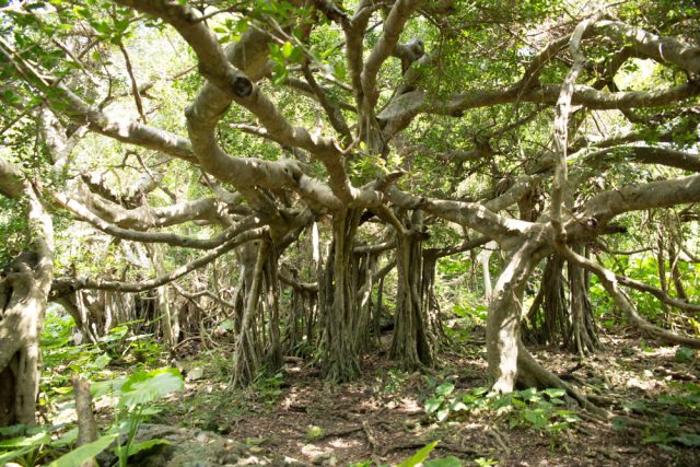 2016-06-17 10.47.27-1