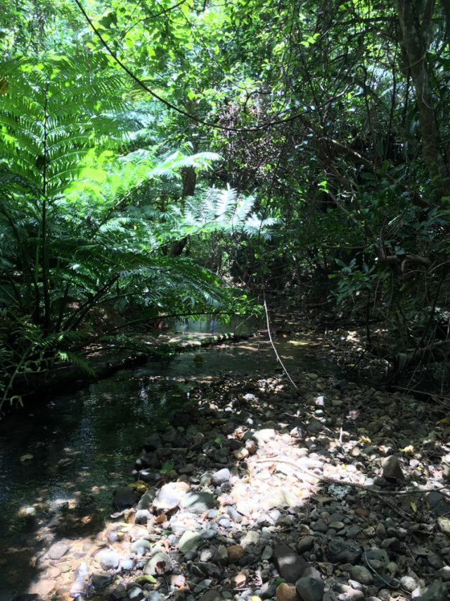 2016-06-17 12.45.33 HDR