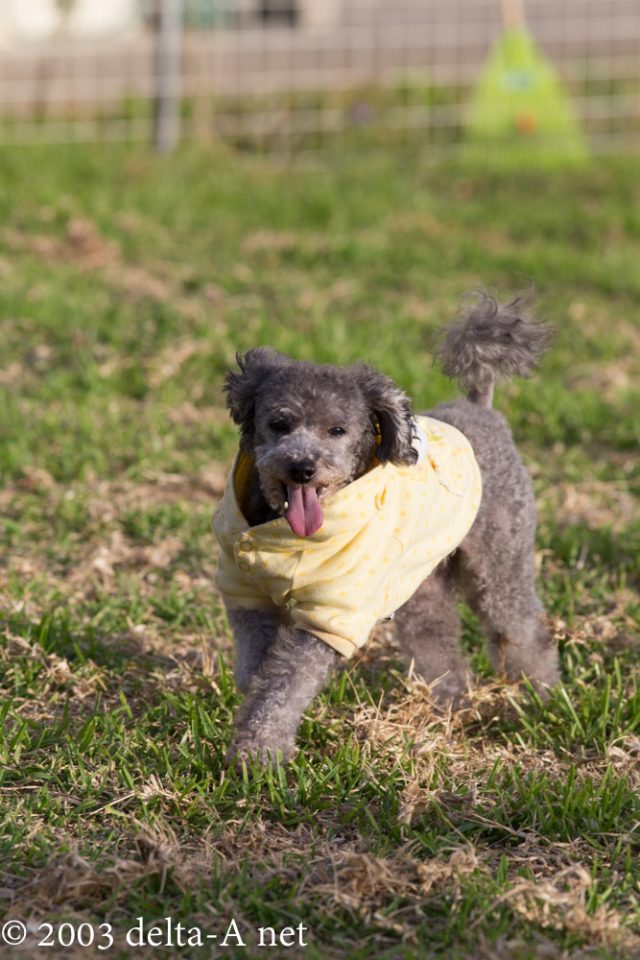 2016-06-26 18.36.44-1