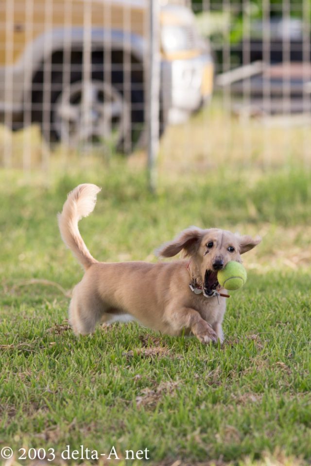 2016-06-26 18.37.55-1