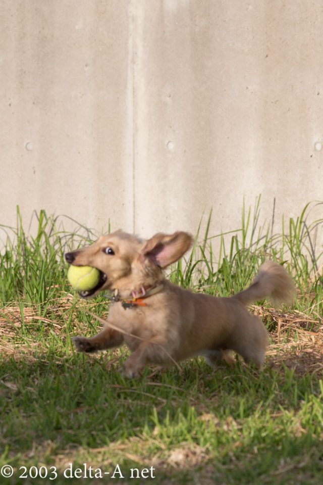 2016-06-26 18.43.58-1