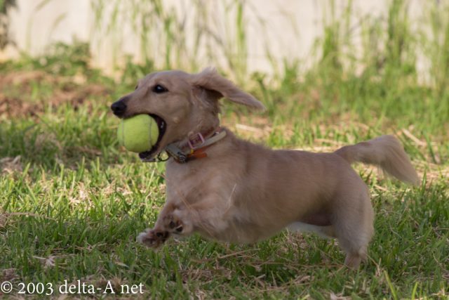 2016-06-26 18.43.58-4