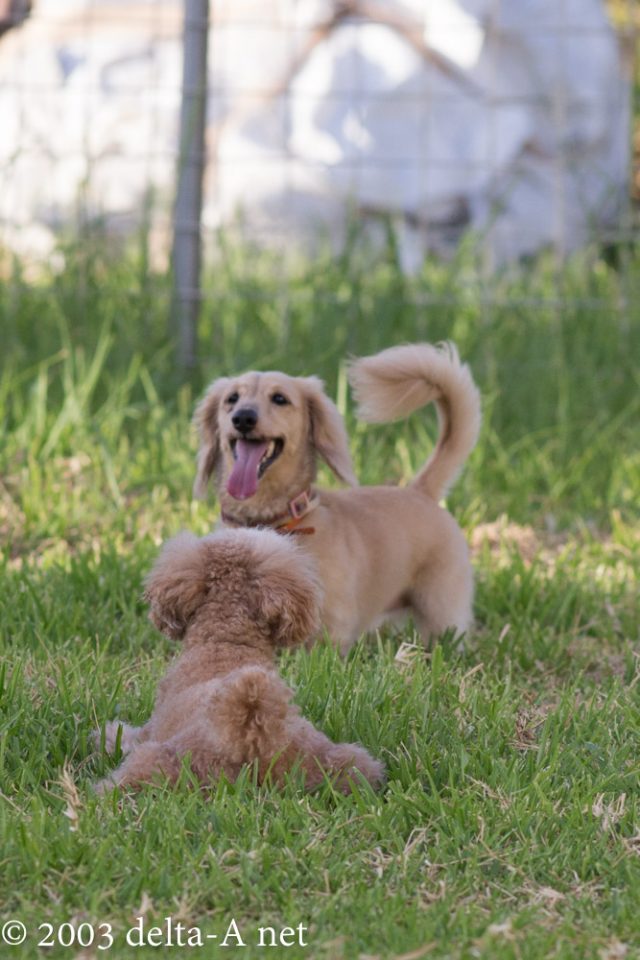 2016-06-26 18.45.04-2