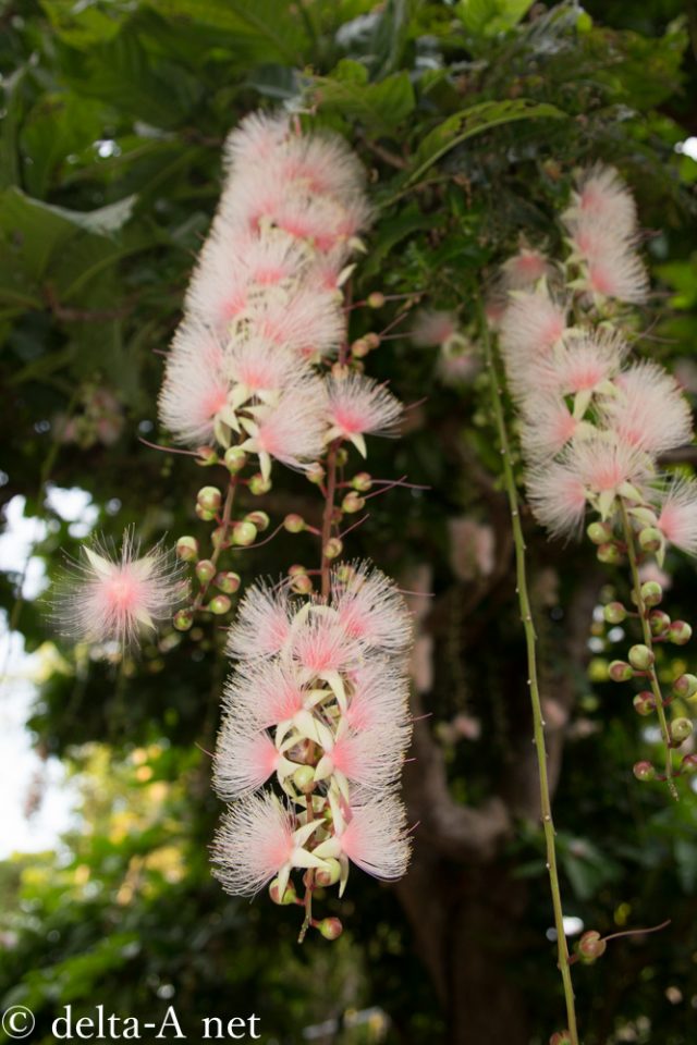 2016-06-28 06.21.04-1