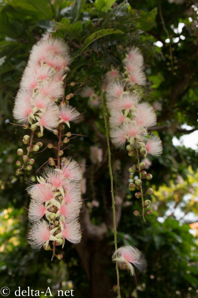 2016-06-28 06.21.42-1