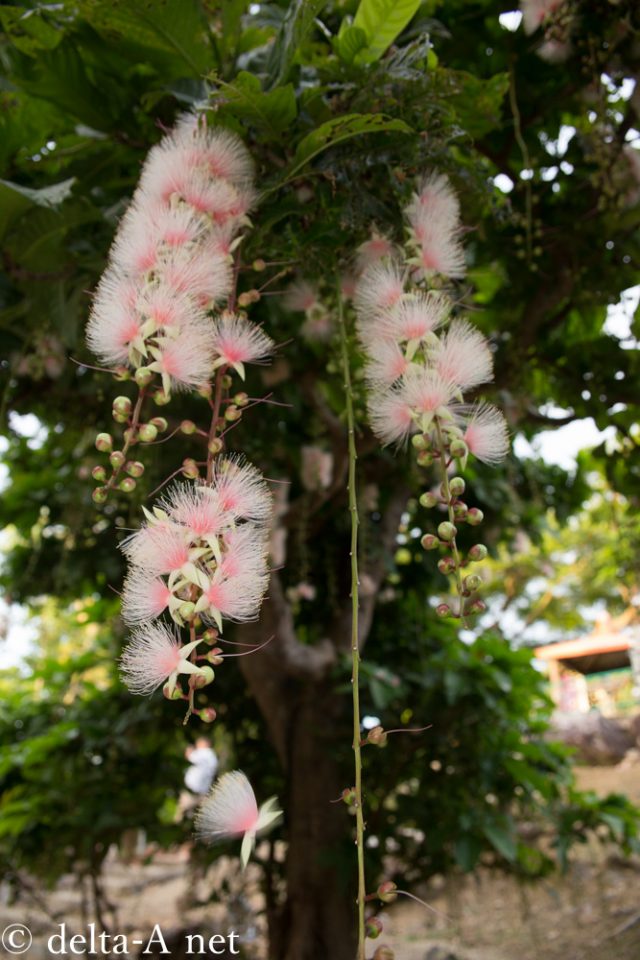 2016-06-28 06.24.59-1