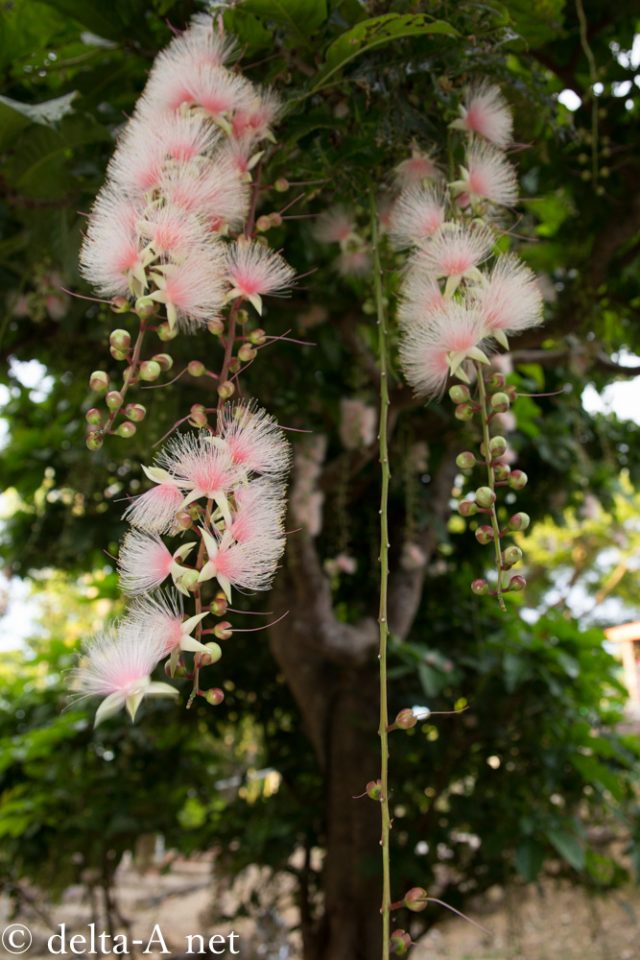 2016-06-28 06.30.58-4