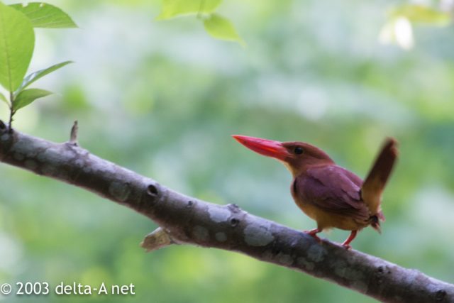 2016-07-20 08.31.03-1