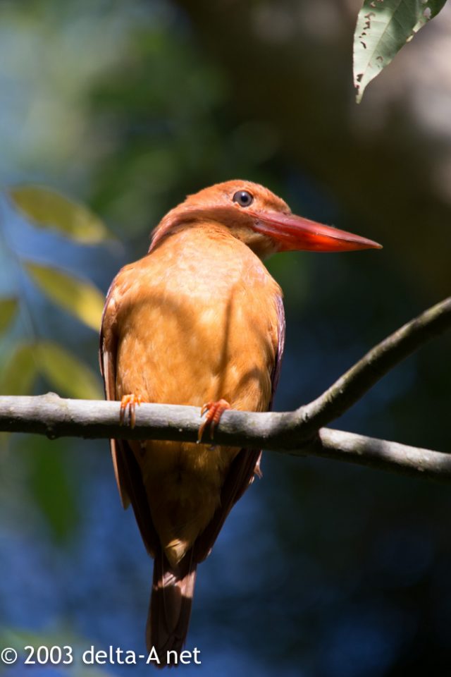 2016-07-21 07.59.54-2