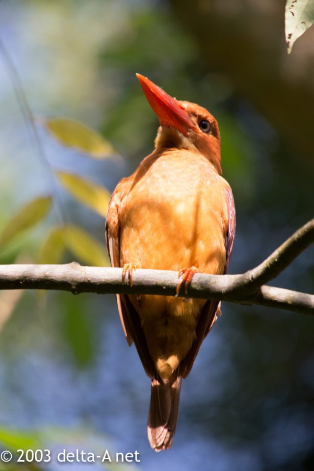 2016-07-21 08.00.05-1