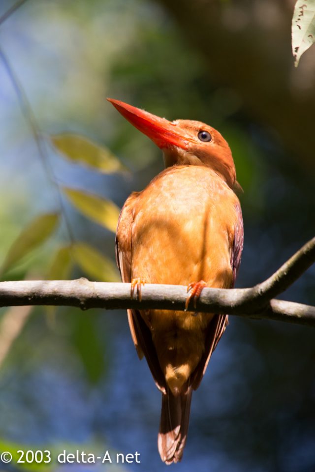 2016-07-21 08.00.17-1