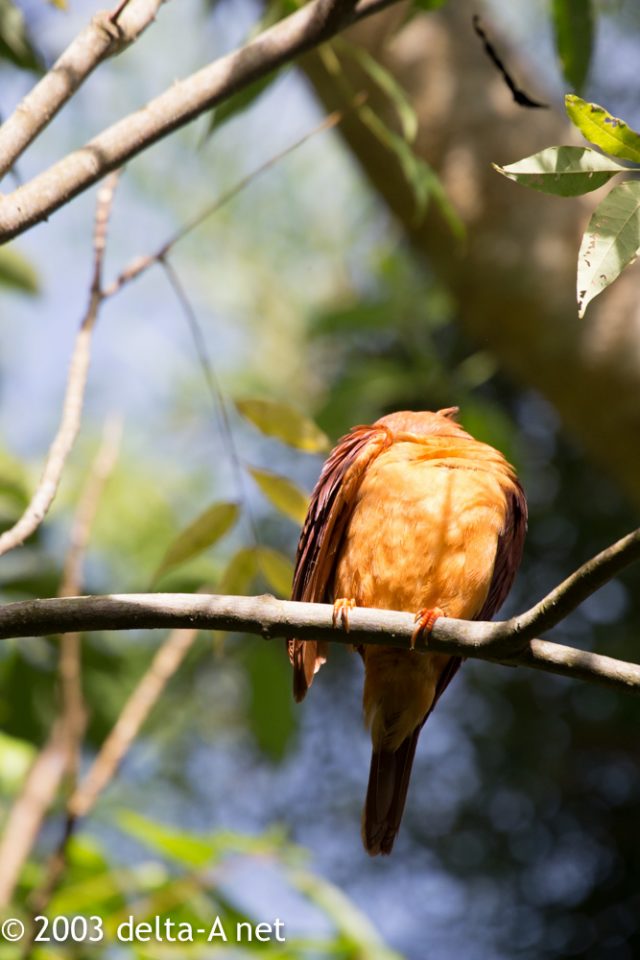 2016-07-21 08.00.57-2