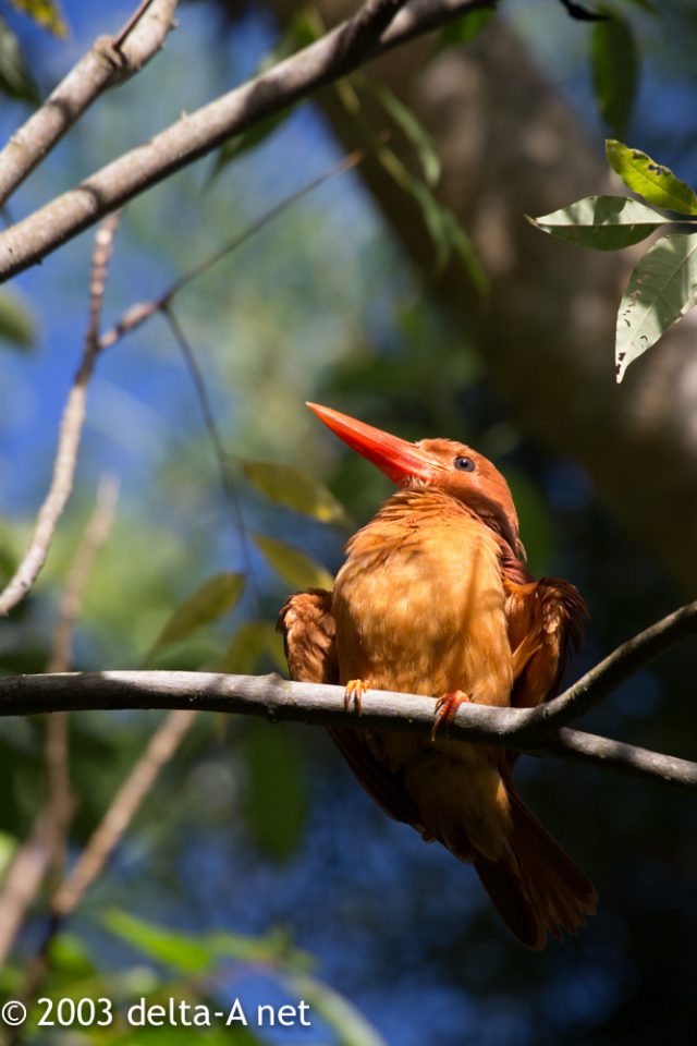 2016-07-21 08.01.47-2