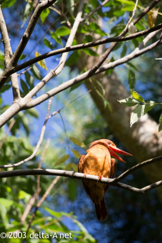 2016-07-21 08.02.44-1