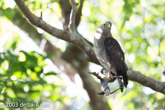 2016-07-22 08.19.29-2