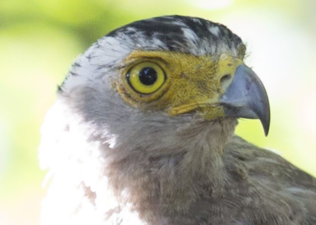 2016-07-22 08.20.09-3