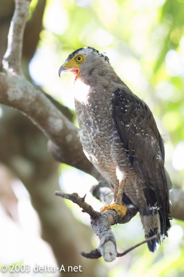 2016-07-22 08.20.48-1