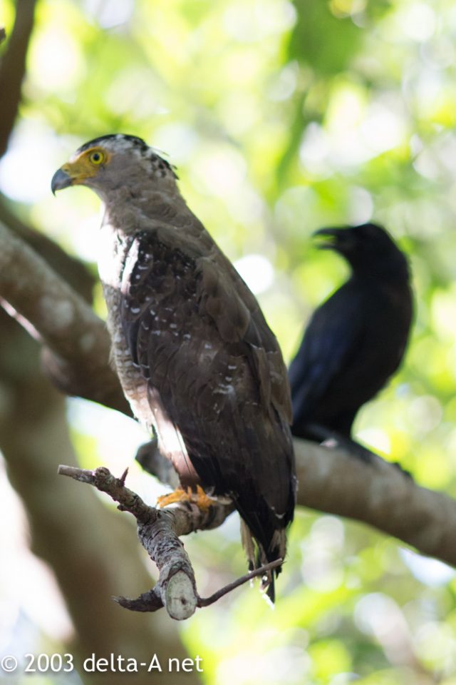 2016-07-22 08.23.44-1