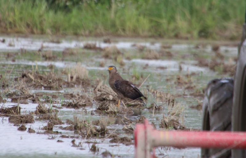 2016-10-23-14-30-08-1