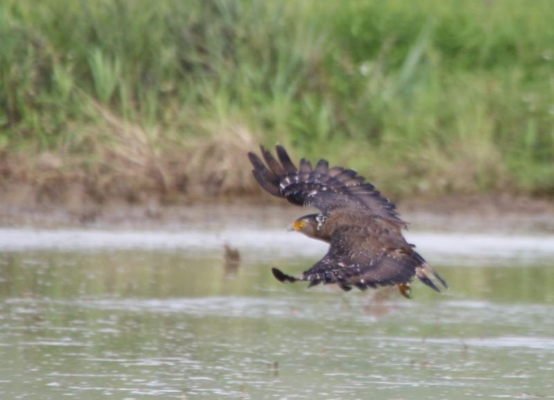 2016-10-23-14-30-40-2-1