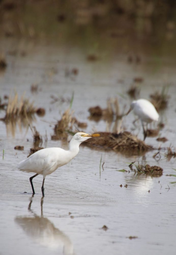 2016-10-23-14-31-04-1