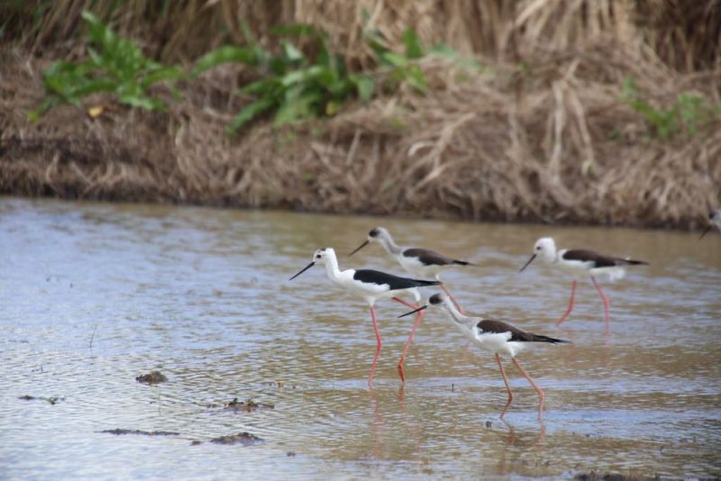 2016-10-23-14-41-32-1