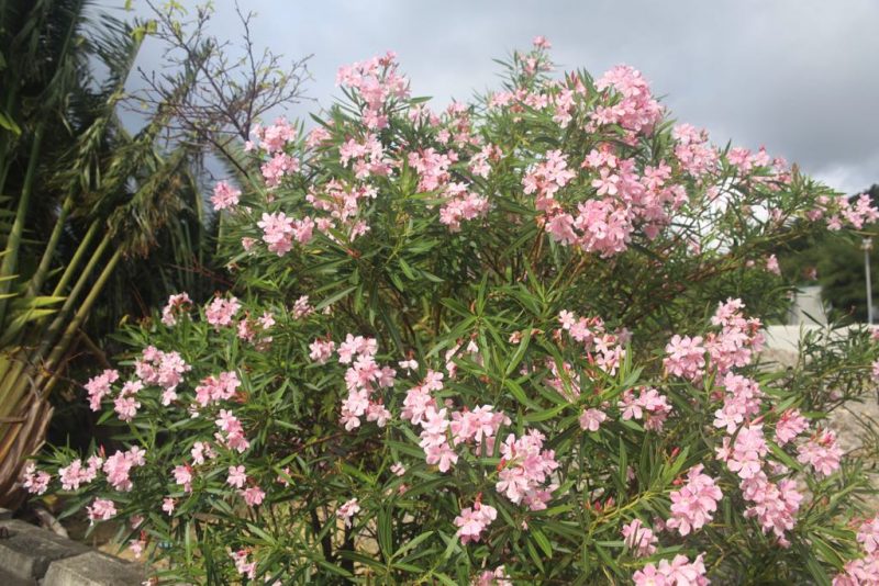 2016-10-23-15-00-07-1